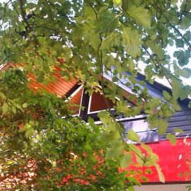 Ferienwohnung Bövergeest, Hotel in Garding