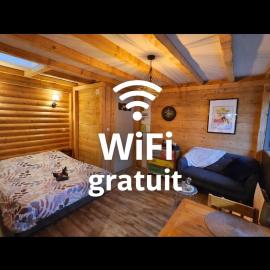 Studio type chalet, hotel di Gérardmer