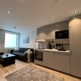 Affordable Luxury Apt - Hotel Vibe - Heart of Voss, hotel in Vossevangen