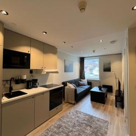 Affordable Luxury Apt - Hotel Vibe - Heart of Voss, Hotel in Vossevangen