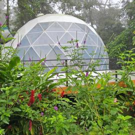 Rio Celeste Jungle Glamping