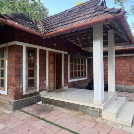 flamingos home stay