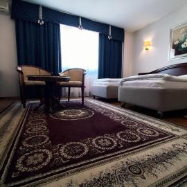 Hotel Vila Ariston, hotel Eszéken