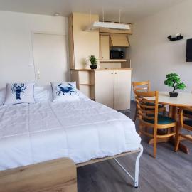 BLEUE OCEANE - Studio, Piscine commune - U65