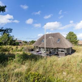 Luxe Duinvilla Zee met sauna en laadpaal nabij strand Ameland en dorp Nes, hotel di Nes