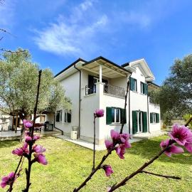 Villa Edmond in the Hills