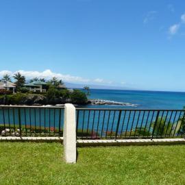Napili Point Oceanfront Turtle View 1BR - Unit B30 condo