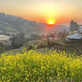 Tamang Heritage Homestay