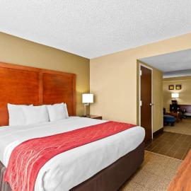 Comfort Inn & Suites Lakeland North I-4, khách sạn ở Lakeland
