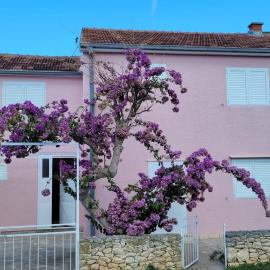 Holiday Home Roza, Hotel in Mirce