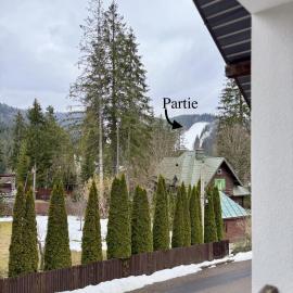 Vila Offline, hotel u gradu Predeal