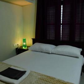 Dev Palace, hotel i Nawai