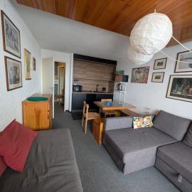 Appartement 6 pers proche pistes & commerces, animaux admis - FR-1-445-98