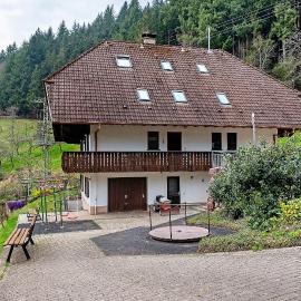 Bergbauernhof 1910, hotel in Oberharmersbach