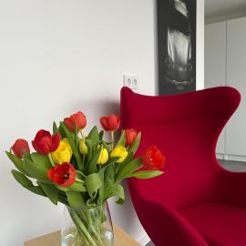 Comfort City Living