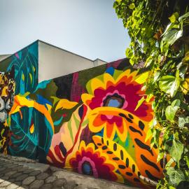 Stylish Apartment Upscale Chapultepec District