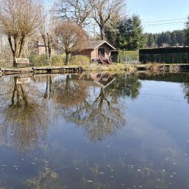 Bulle d'eau