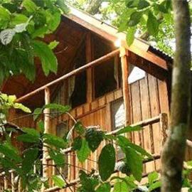 Bayrams Tree Houses, viešbutis mieste Olimpas