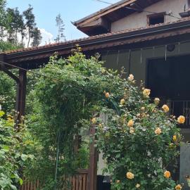 Nayri HOUSE Самоков,село Доспей, hotel a Dospey
