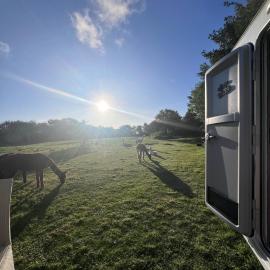 Sleep with Alpacas I Glamping Retreat in National Park Thy, hotel a Snedsted