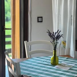 Apartments Mali Raj, hotell sihtkohas Dolenci