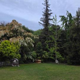 Bed&Breakfast, hotell i Maipo