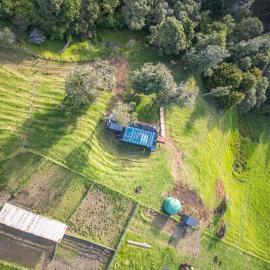 Rewarewa PurePod, hotel in Helensville