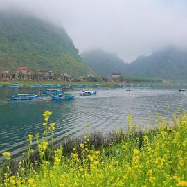 Family homestay, hotel in Bố Trạch