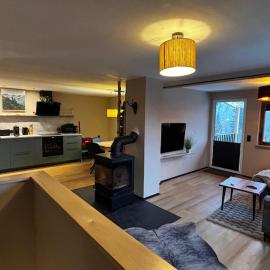 Fuxbau Design-Ferienhaus im Harz mit Sauna und Kamin