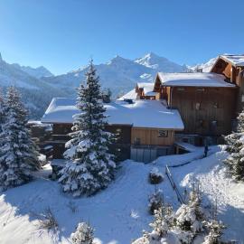 Duplex Méribel Mottaret 8 personnes、Les Alluesのホテル
