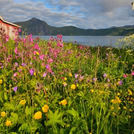 Senja Sjøtun House
