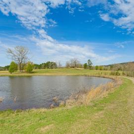 Ozark Getaway w/ Pond, Fire Pit & Patio, hotel a Dover