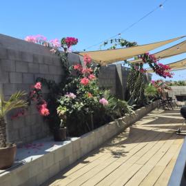 Santas y Santos, Hotel in Todos Santos