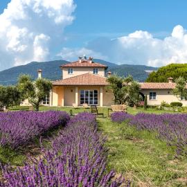 Agriturismo Villa Toscana, Hotel in Campiglia Marittima