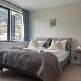 Affordable Luxury Apt - Hotel Vibe - Heart of Voss, Hotel in Vossevangen
