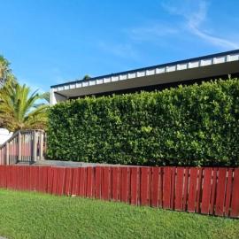 The Tiny Abode, hotel in Snells Beach