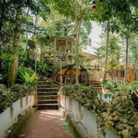 Jardin De Ysabelle