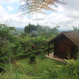 Pondok Kayu Pathavi, hotel a Baturiti