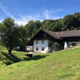 Die Bartlmühle, hotel Windorfban