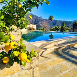 La Marginella - Tuscan Estate & Olive Orchard with Pool