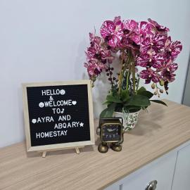 Ayra & Abqary Homestay