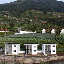 Krincing Hills Cabin, hotel di Kalijoso