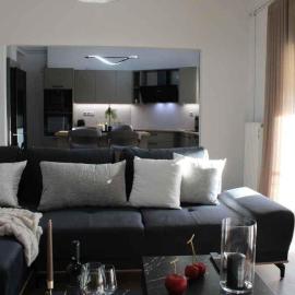 Theasis apt