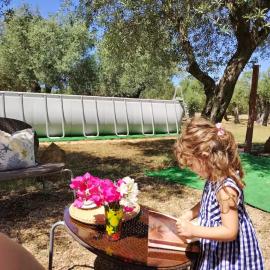 Alghero Guest House, Oasi tra gli Ulivi con Piscina e Fresche Suites in Seminterrato