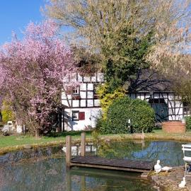 Historisches Fachwerkhaus aus dem 18 Jahrhundert, hótel í Eulenberg