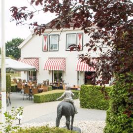 Hotel Restaurant Eeserhof, hotel em Ees