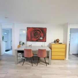 3 bed garden house direct connection to airport n train station