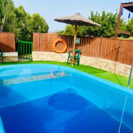 Olive Oasis Adults only