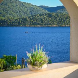 Holiday Home Island View - Tudorovica