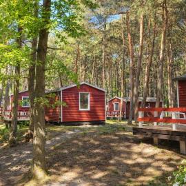 Erholung pur in der Strandhussiedlung Rügen - Bungalow Ferienwohnung - bis 5 Personen - nur 100m zum Naturstrand - mitten im Kiefernwald - Ideal für Paare & Familien - Hunde herzlich willkommen, hotel a Dranske